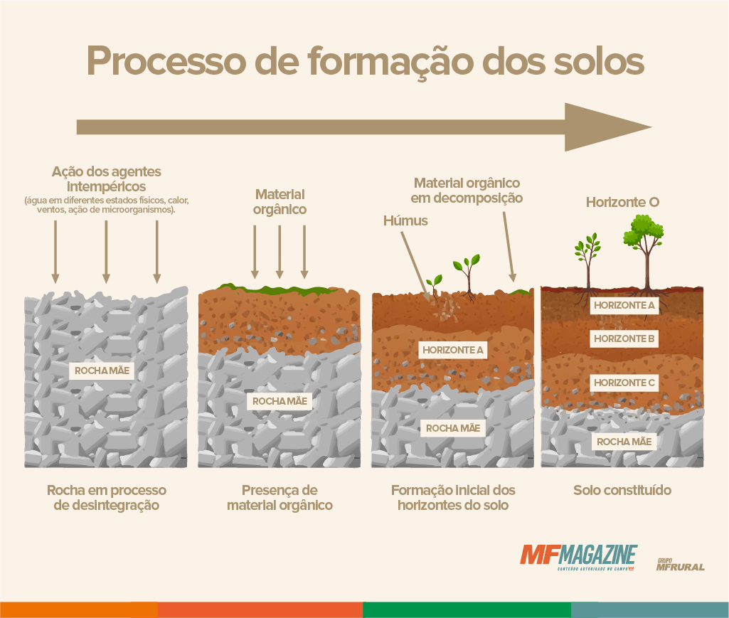 Demonstração por meio de desenhos do processo de formação dos solos