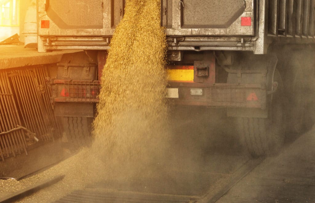 Caminhão descarregando grãos em moega com poeira gerada pelas pequenas partículas