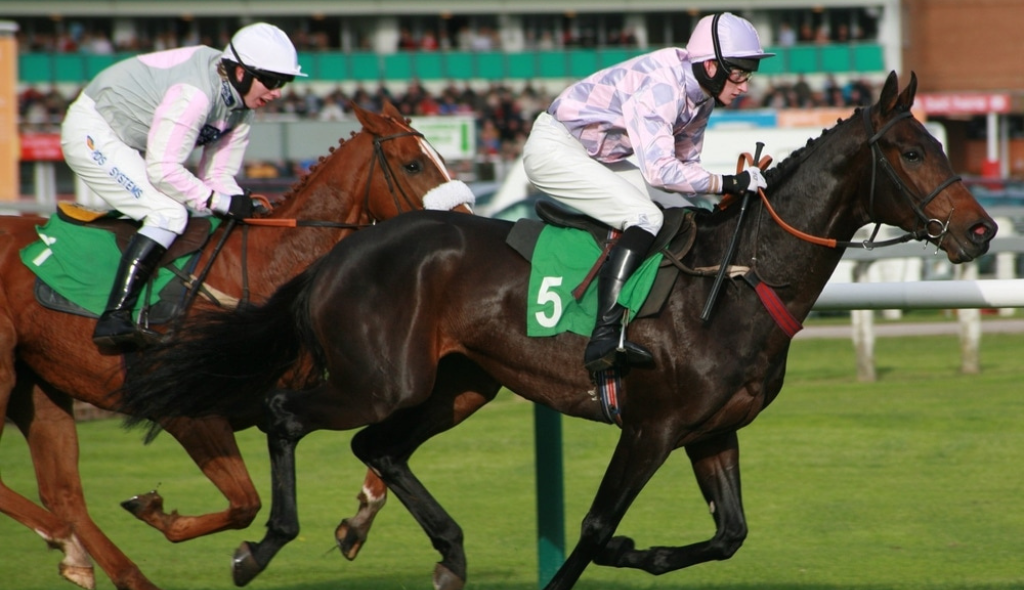 Cavalos Puro Sangue Inglês em torneio disputando corrida