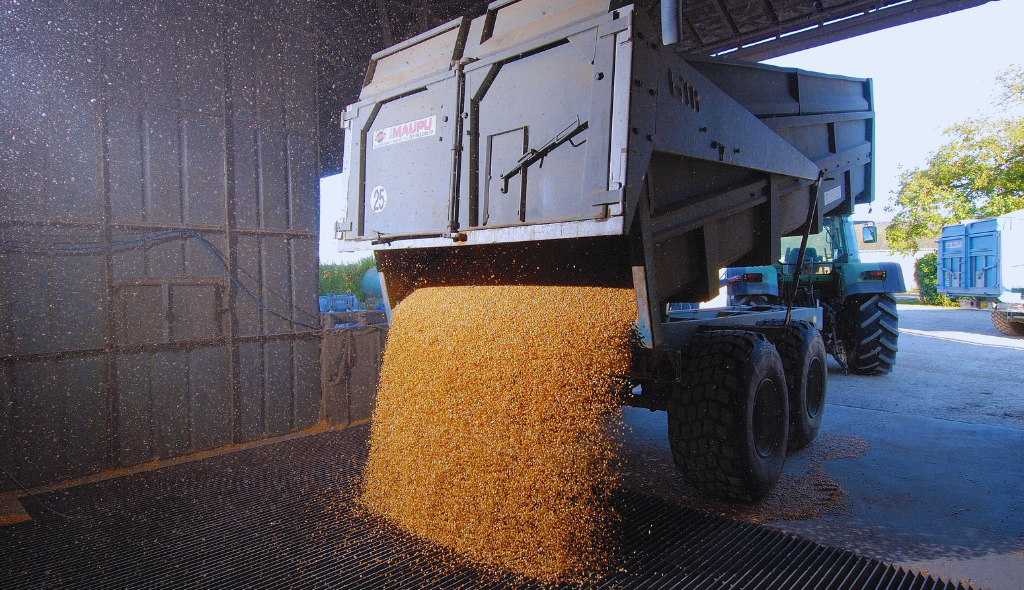 Moega de grãos: importância, funcionamento e desafios na sua utilização
