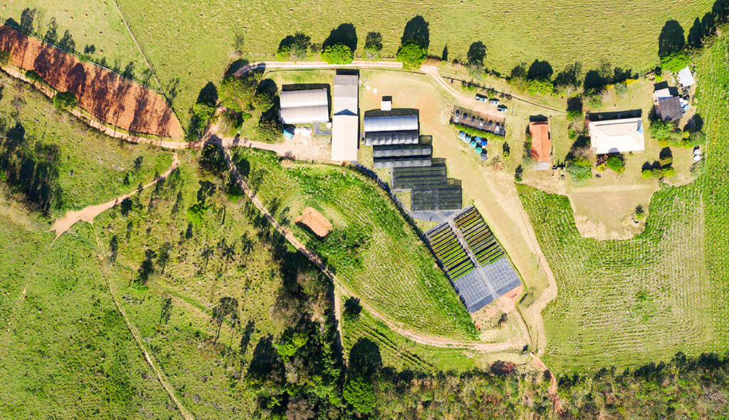 Vista aérea da sede da ONG Copaíba voltada ao reflorestamento. Área construída, viveiro de mudas rodeadas de vegetação rasteira e árvores ao lingo da estrada