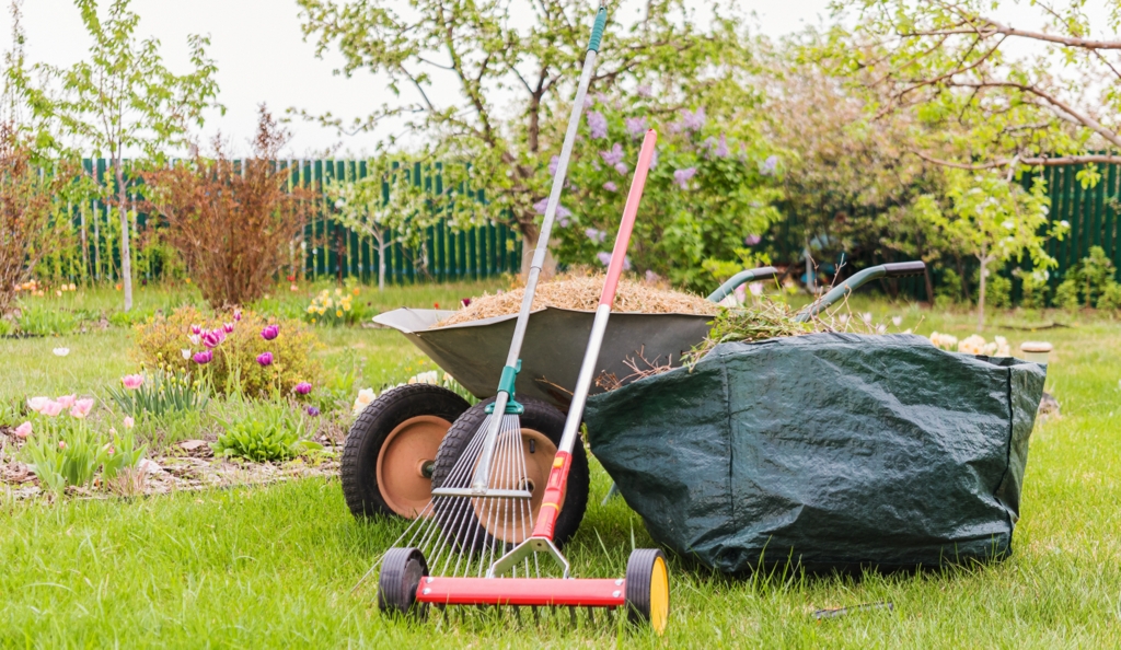 Limpeza de um gramado após a poda, com destaque para as ferramentas usadas para retirada de galhos e folhas secas