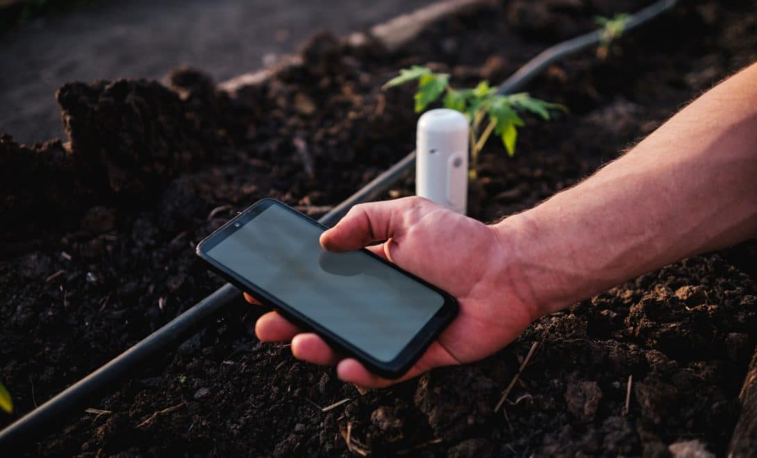 Mão masculina segurando smartphone ao lado de sensor inserido em solo com plantação e irrigação