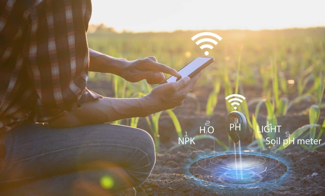 Homem agachado segurando celular com sinal de conectividade em meio a plantação de milho sendo monitorada por sensor de solo e imagem ilustrativa de medição de nutrientes, umidade, luz e pH do solo