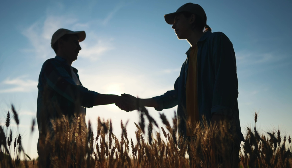 Dois homens dão as mãos em sinal de acordo como partes de contrato de parceria rural no meio de campo de trigos