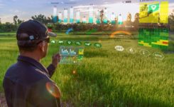 Agricultura digital: o impacto positivo das tecnologias no campo