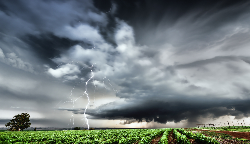 Plantação com iminente tempestade ao fundo e ocorrência de raios. As chuvas excessivas, ventos fortes e granizo estão entre as causas de cobertura do Proagro
