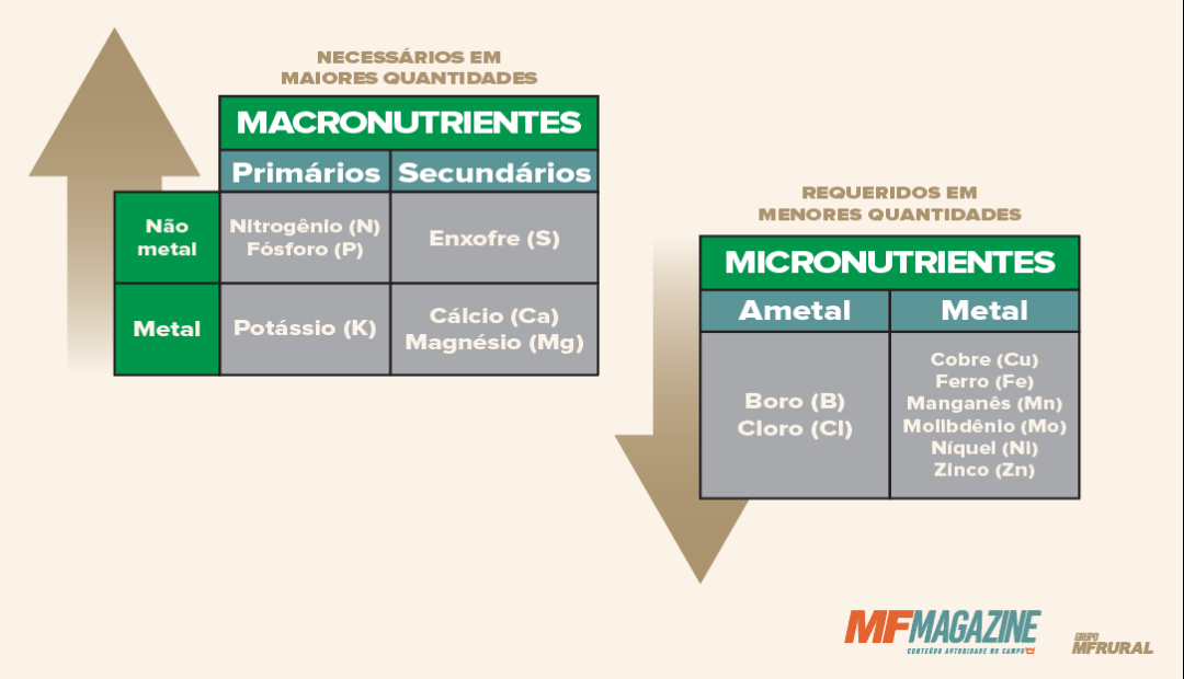 Quadro comparativo de macronutrientes (primários e secundários) e micronutrientes (ametal e metal)