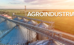 Agroindústria: o que é, regulamentação e boas práticas