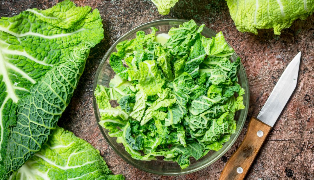 Tigela de vidro com salada de repolho picada