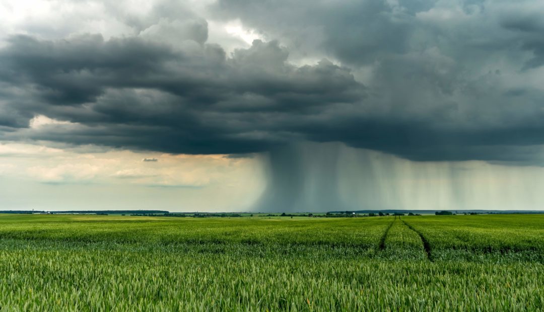 Nuvens escuras com chuva ao fundo em um pasto