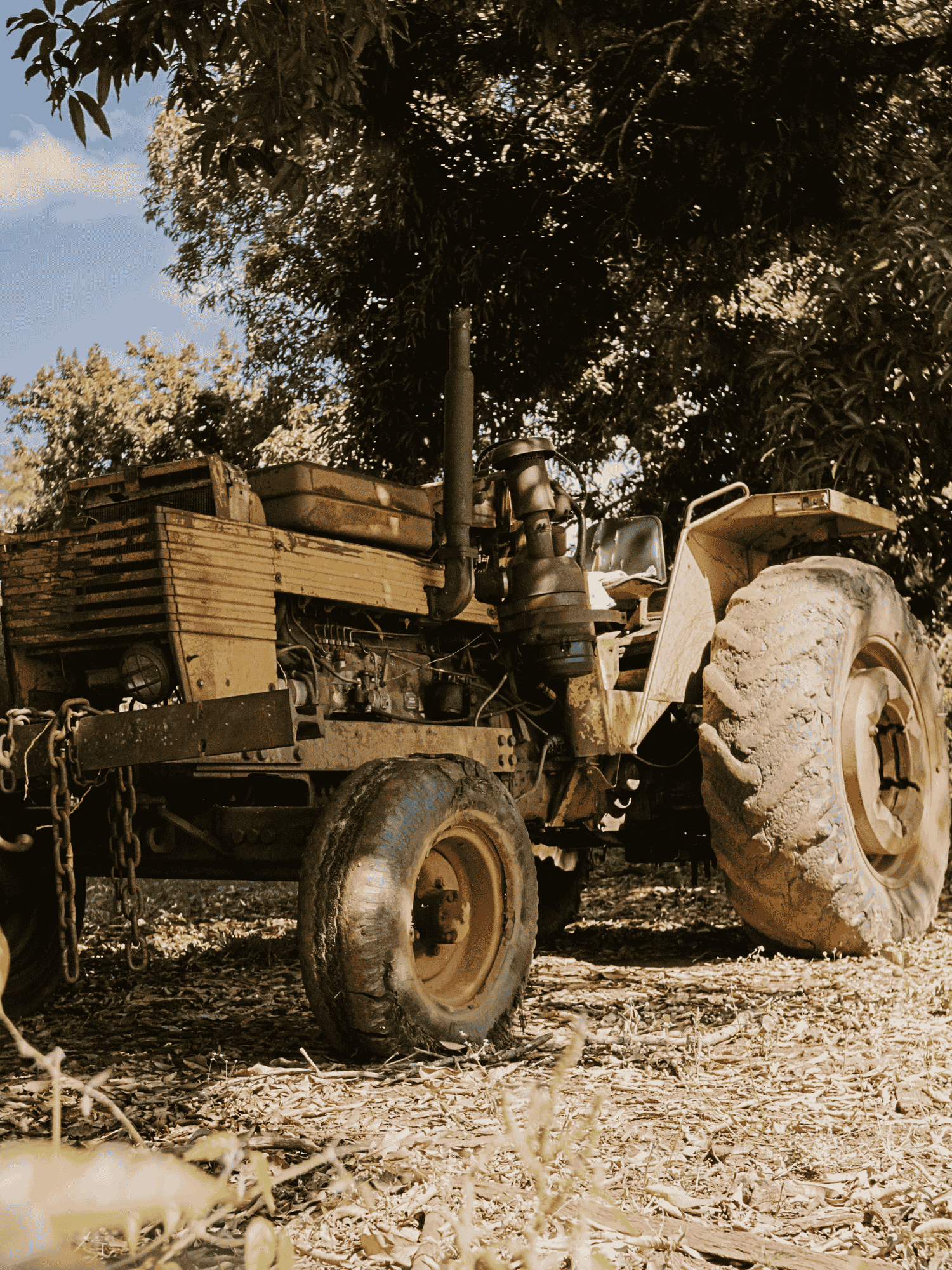 Trator Valmet 110 de 1974 em estado desgastado, estacionado sobre folhas secas, com marcas de uso nas rodas e na lataria, sob a sombra de árvores no campo.