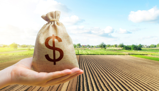 As novas regras para o Alongamento de Débito Rural