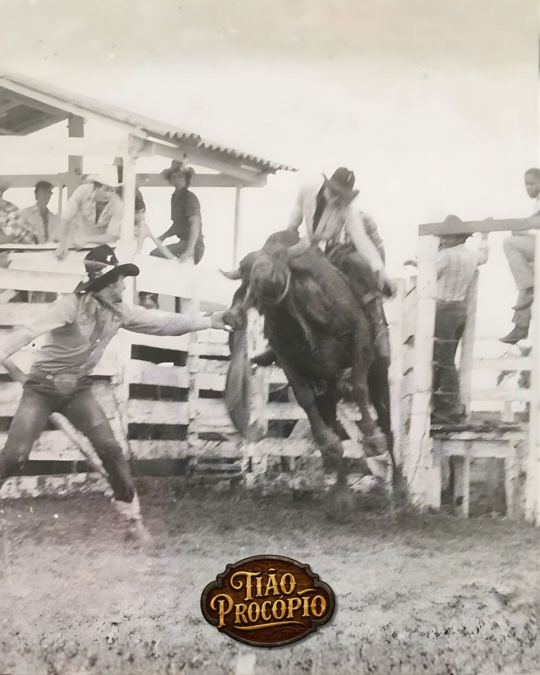 Tião Procópio mostra a Django uma montaria em touro durante um registro da trajetória do rodeio em touros no Brasil.